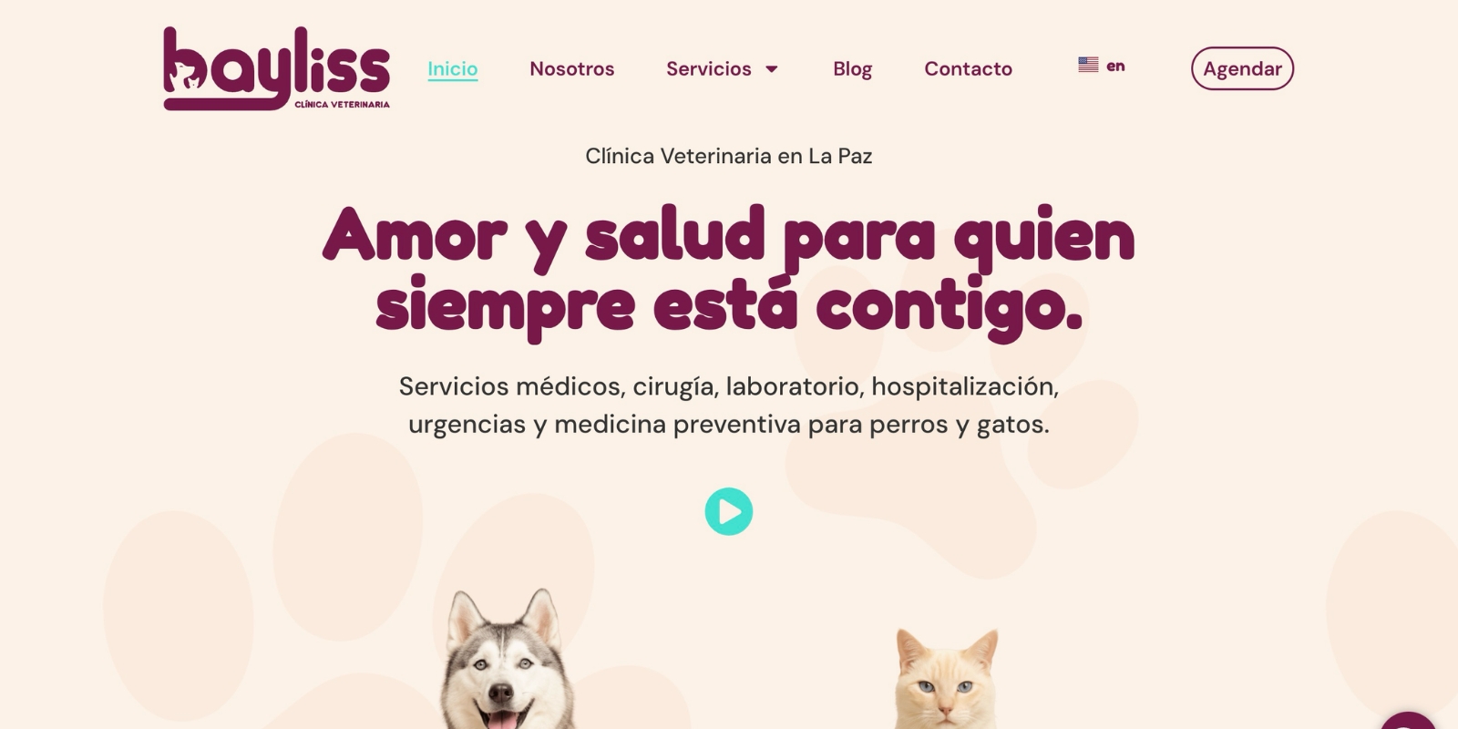 Sitio web de Bayliss Clínica Veterinaria